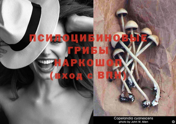 гидра Беломорск