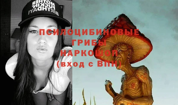 гидра Беломорск