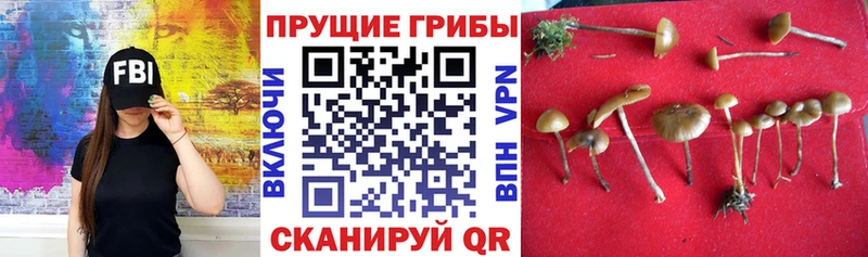 Галлюциногенные грибы Magic Shrooms  хочу наркоту  Верхняя Салда 